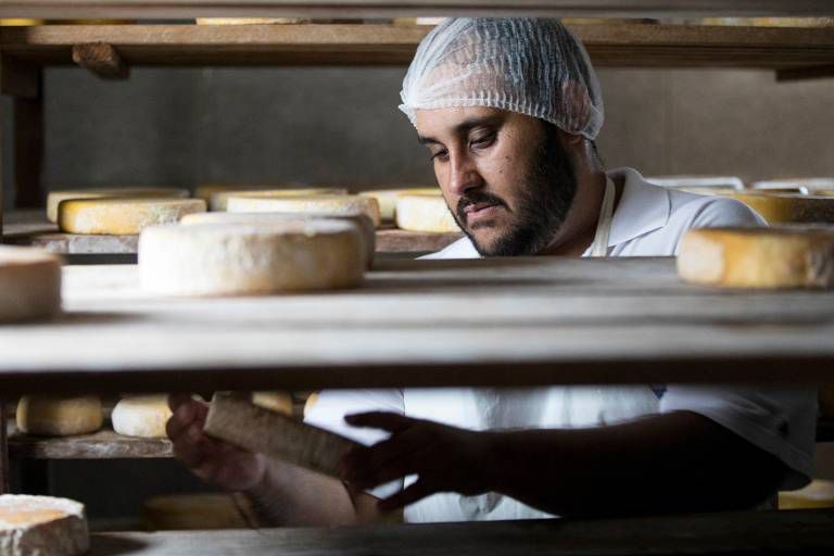 Queijo de Santa Catarina vence concurso internacional