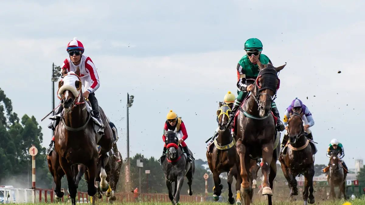 Jockey Club do Paraná realiza o Derby Paranaense