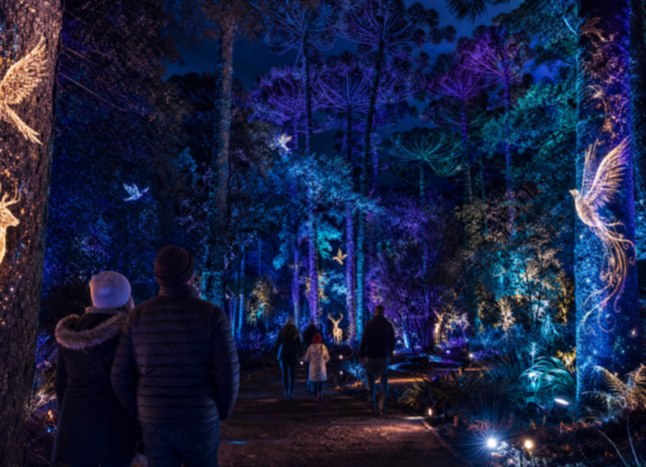 Inverno Encantado em Curitiba levará cenário mágico inédito a parque da cidade Inverno Encantado de Curitiba