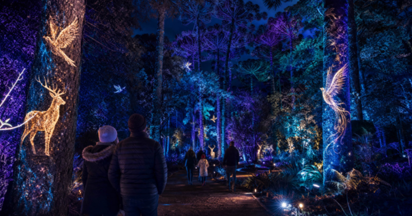 Inverno Encantado em Curitiba levará cenário mágico inédito a parque da cidade Inverno Encantado de Curitiba